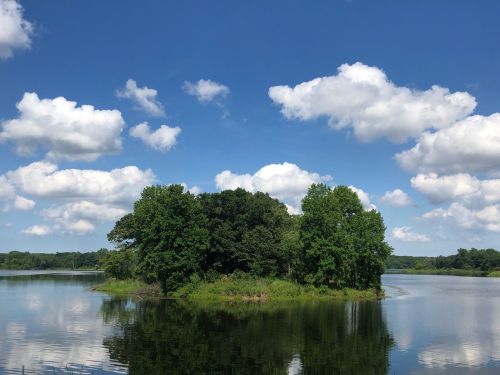 A serene lake scene featuring a small island with lush trees under a bright blue sky and fluffy white clouds.