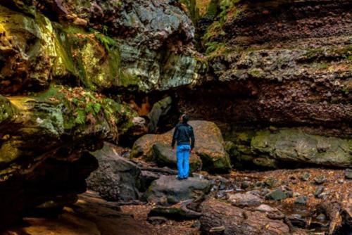 A person stands on rocks in a lush, rocky canyon surrounded by moss-covered walls and fallen leaves.