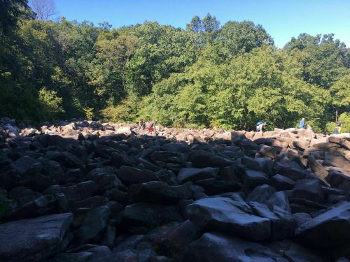 A rocky landscape with scattered boulders and people exploring among trees under a clear blue sky.