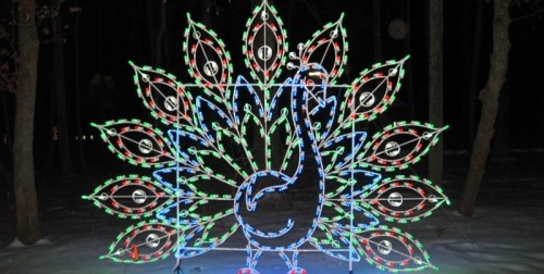 A colorful illuminated peacock display made of lights, set against a dark, snowy background.