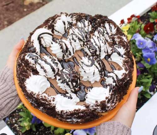 A person holds a chocolate cake topped with whipped cream and chocolate drizzle, surrounded by colorful flowers.