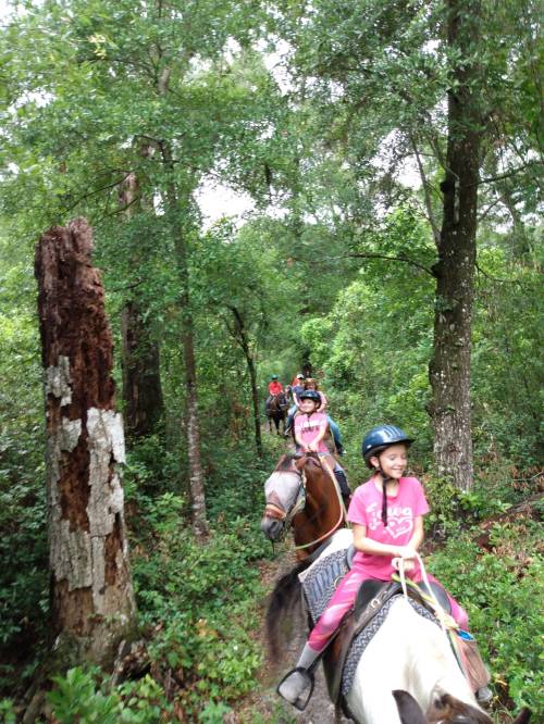 A group of children riding horses through a lush, green forest trail.