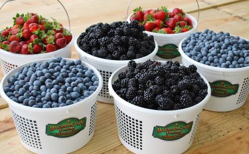 Baskets filled with fresh strawberries, blueberries, and blackberries on a wooden surface.