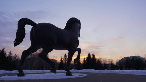 A large black horse statue stands against a sunset sky, surrounded by snow and trees.