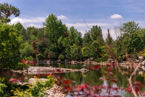 A serene pond surrounded by lush greenery and trees under a clear blue sky, with rocks lining the water's edge.