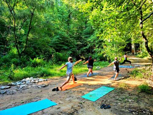 A group of people practicing yoga outdoors on colorful mats surrounded by lush greenery.