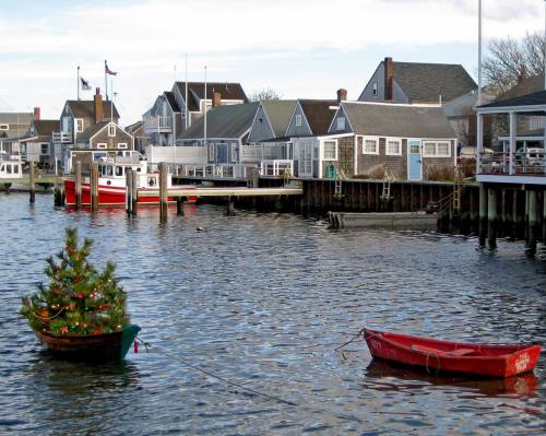 A small boat with a decorated Christmas tree floats in a harbor, surrounded by quaint houses and other boats.