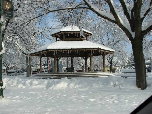 A snow-covered gazebo surrounded by trees and a blanket of snow, with icicles hanging from the roof.