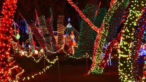 A vibrant display of colorful holiday lights adorning trees and decorations in a festive outdoor setting.