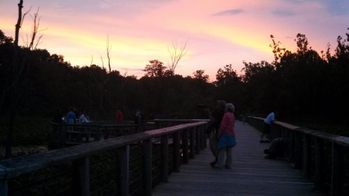 A wooden boardwalk at sunset, with people enjoying the view and trees silhouetted against a colorful sky.