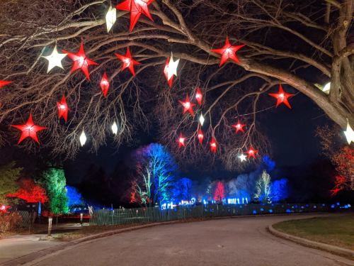 Colorful stars hang from tree branches, illuminating a path lined with vibrant lights in a nighttime garden setting.