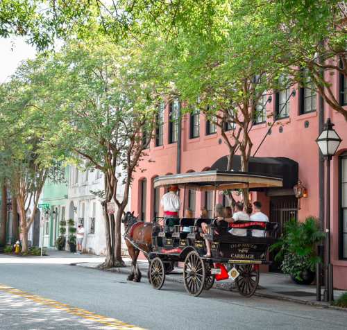 A horse-drawn carriage waits on a tree-lined street, with historic buildings in the background and people nearby.