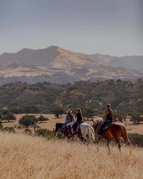 Three riders on horseback traverse a golden field with rolling hills in the background under a clear blue sky.