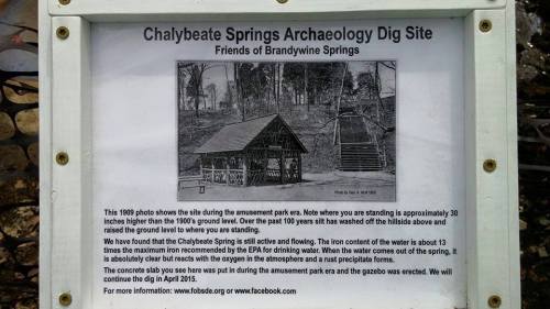 Sign at Chalybeate Springs Archaeology Dig Site, detailing history and water levels, with a wooden structure in the background.