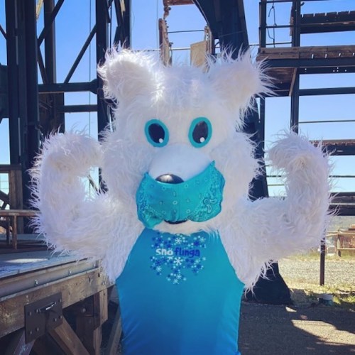 A fluffy white bear mascot wearing a blue outfit and a mask, posing with arms raised in a playful manner.