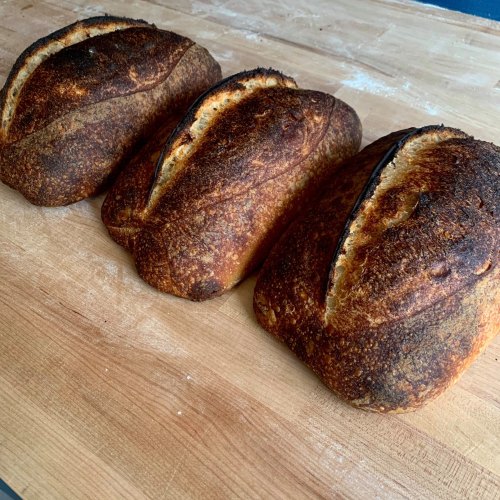 Three freshly baked loaves of rustic bread on a wooden surface, showcasing a golden-brown crust.