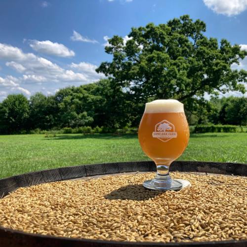 A glass of beer sits on a barrel of grains, with a lush green field and blue sky in the background.