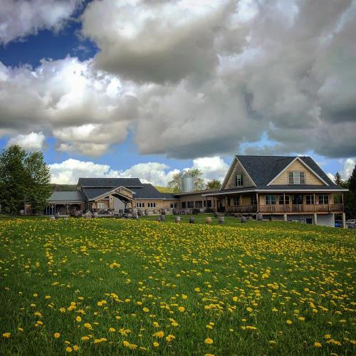 A scenic view of a house surrounded by a field of yellow dandelions under a cloudy sky.