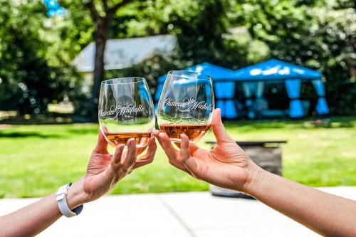 Two hands clink wine glasses filled with rosé and white wine, with a sunny outdoor setting in the background.