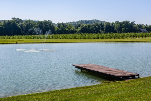 A serene pond with a wooden dock, surrounded by lush greenery and a fountain spraying water in the background.