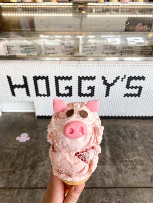 A hand holds a whimsical pig-shaped ice cream cone in front of a shop named "Hoggy's."