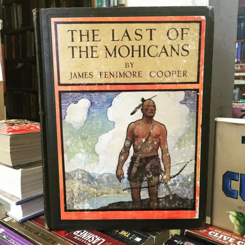 Cover of "The Last of the Mohicans" by James Fenimore Cooper, featuring a Native American figure in a landscape.