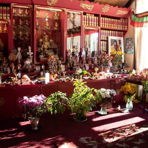 A vibrant room filled with colorful altars, statues, flowers, and religious artifacts, illuminated by natural light.
