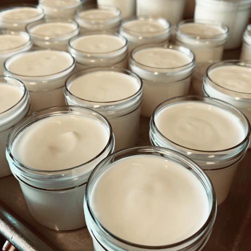 A close-up of multiple small jars filled with creamy white substance, arranged neatly on a tray.