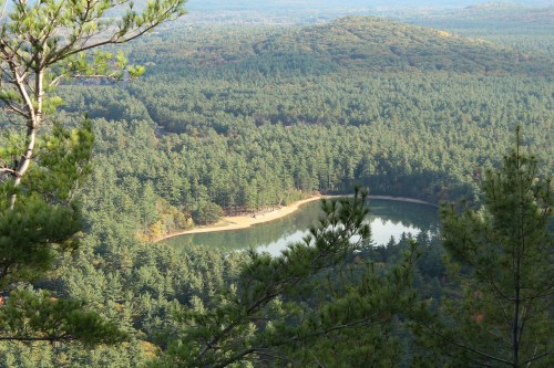 Aerial view of a forested landscape with a winding river and a sandy beach, surrounded by lush green trees.