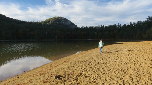 A person walks along a sandy beach by a calm lake, surrounded by trees and a distant hill under a blue sky.