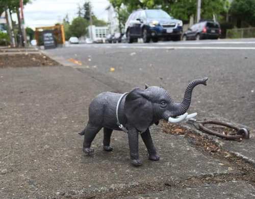A small toy elephant stands on the sidewalk near a road, with cars visible in the background.