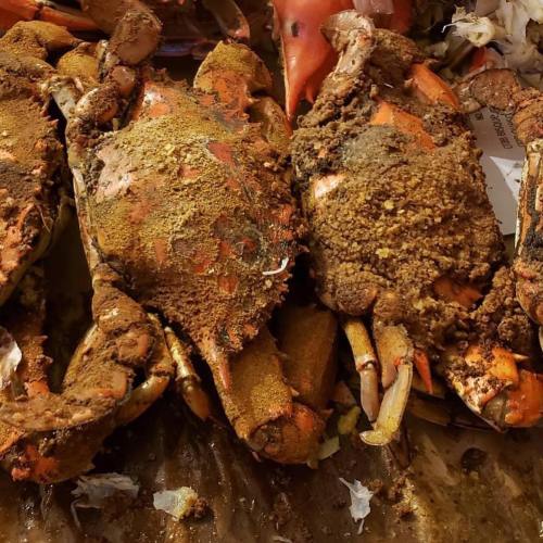 Three cooked crabs covered in seasoning, resting on a surface with bits of shell and seasoning scattered around.