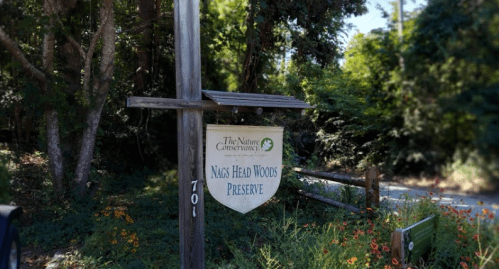 Sign for Nags Head Woods Preserve, surrounded by trees and flowers, indicating a nature conservation area.