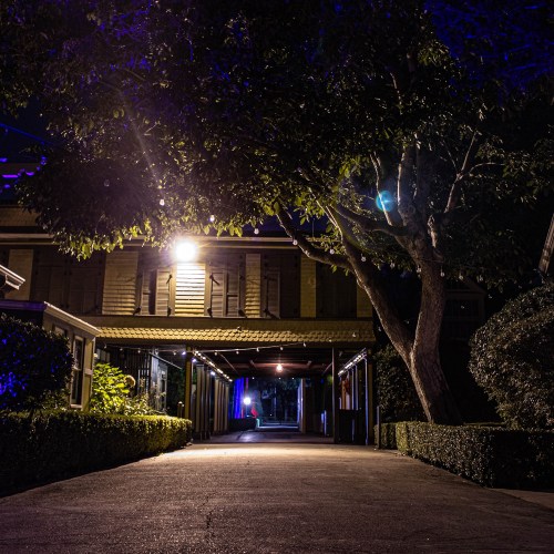 A dimly lit pathway lined with trees and bushes, leading to a building with warm lights at night.