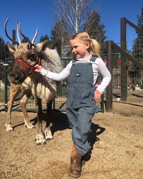 A young girl in overalls stands beside a reindeer, smiling in a sunny outdoor setting.