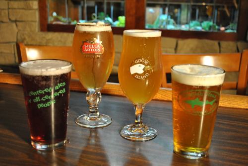 Four different beer glasses on a wooden table, featuring various brands and colors of beer.