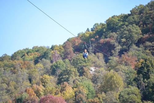 A person in a harness zips across a cable with colorful trees in the background on a clear day.