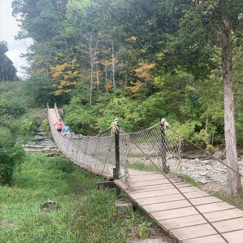 A suspension bridge spans a small creek, surrounded by trees with autumn foliage. Two people walk across it.