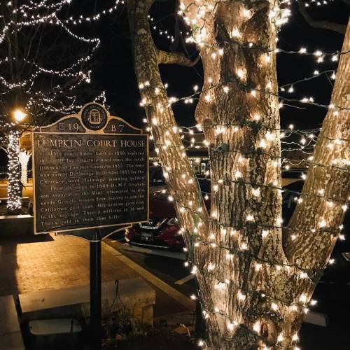 A historic courthouse sign illuminated by string lights on a tree, creating a festive atmosphere at night.