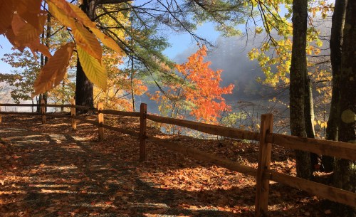 A serene path lined with a wooden fence, surrounded by vibrant autumn leaves and misty trees.