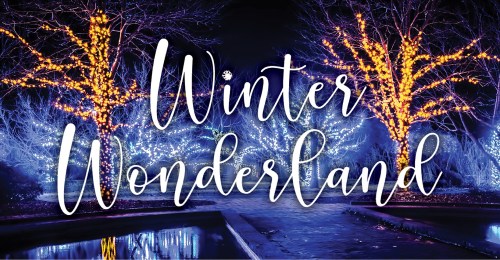 A beautifully lit winter scene with trees adorned in glowing lights, featuring the text "Winter Wonderland."