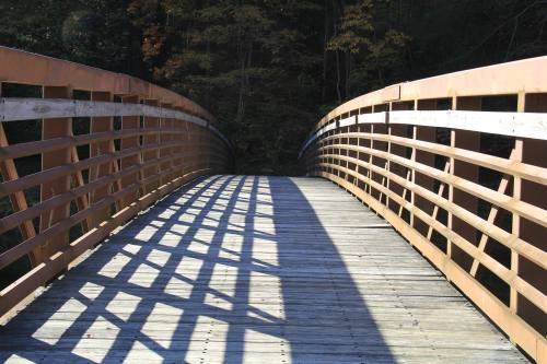 A wooden bridge with a curved design, casting shadows on the planks below, surrounded by trees.