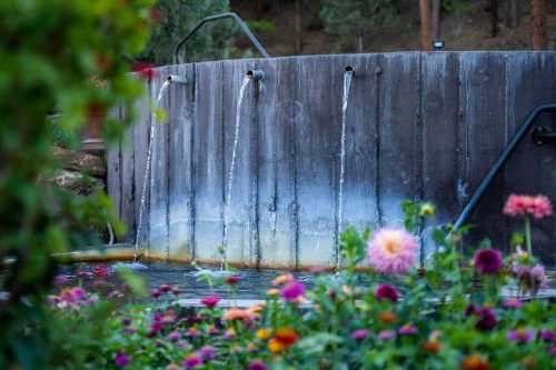 A water feature with flowing streams, surrounded by colorful flowers in a serene garden setting.