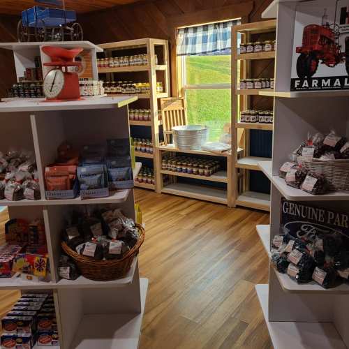 Interior of a quaint store featuring shelves of jars, snacks, and a vintage scale, with a view of greenery outside.