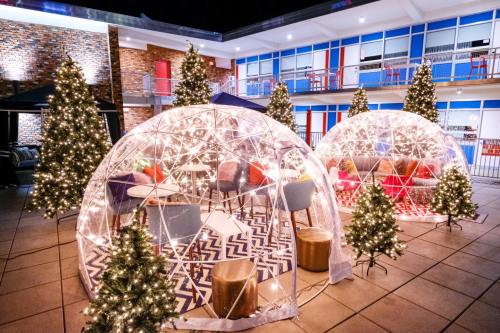 Two illuminated igloos surrounded by Christmas trees, set in a cozy outdoor space at night.