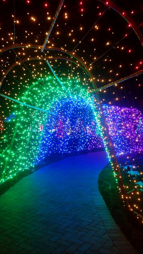 A colorful light tunnel with vibrant green, blue, and purple lights illuminating a winding path at night.