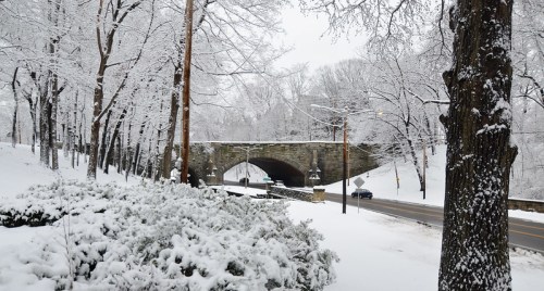 A snowy landscape featuring a stone bridge, trees covered in snow, and a road lined with snow-covered bushes.