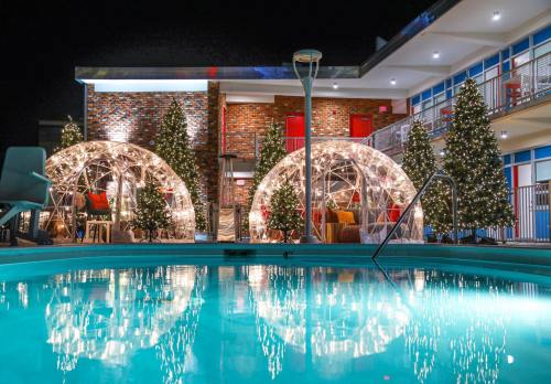 A festive outdoor area with two illuminated igloos, Christmas trees, and a pool reflecting the lights at night.