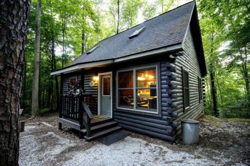 A cozy log cabin nestled in a forest, featuring a porch and large windows, surrounded by lush greenery.