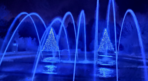 A nighttime scene featuring illuminated fountains and two Christmas trees, all bathed in blue light.